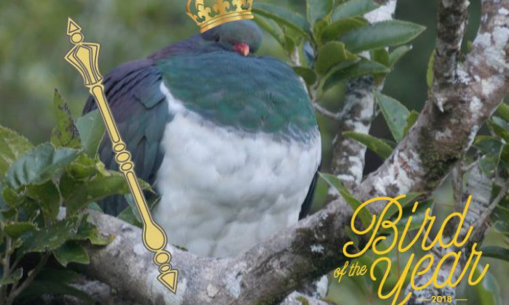 Kereru with a crown and septer