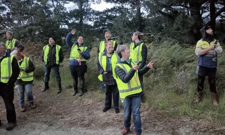 Group of people looking for bats