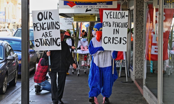 People holding protest signs