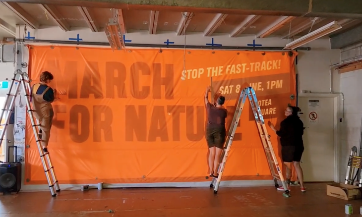March for Nature. Credit Greenpeace NZ