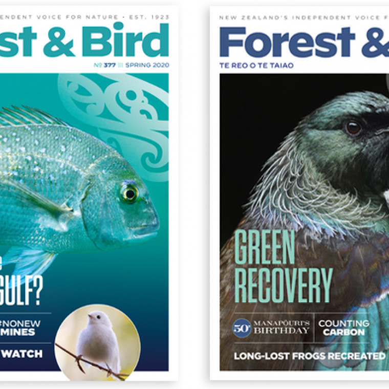 Forest & Bird magazine teaser image with two magazine covers