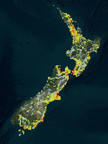 Map of New Zealand with coloured squares illustrating different bird species observed