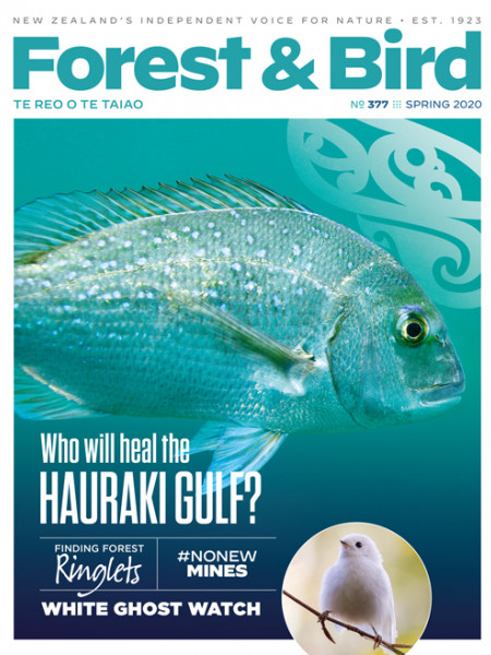 A snapper on the cover of the Spring 2020 issue of our magazine