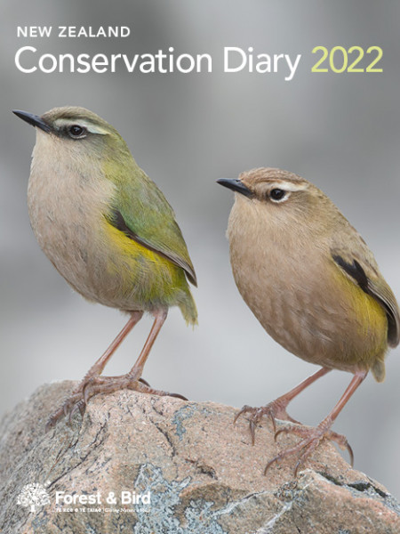 Conservation diary 2022