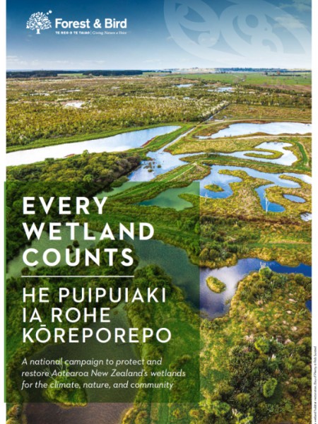 Every Wetland Counts Report Coverpage with the Kaituna Wetland Restoration Project