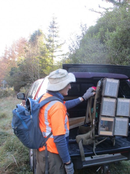 Rotorua Branch member getting ready to set traps in Tikitapu Reserve, Bay of Plenty