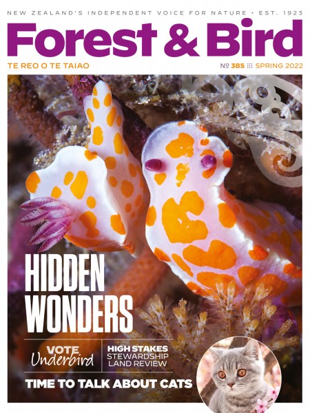 Hidden Wonders - Cover for Forest & Bird magazine Spring 2022 issue