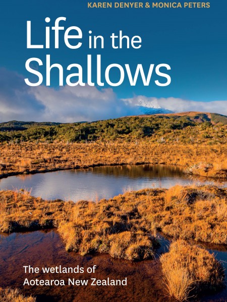 Life in the Shallows book cover