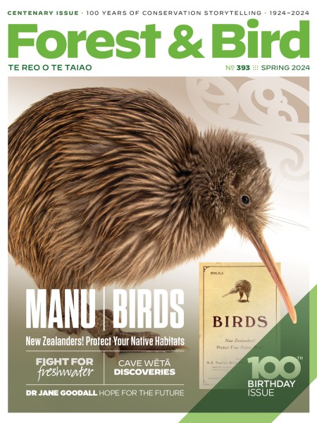 Spring 2024, Forest & Bird magazine