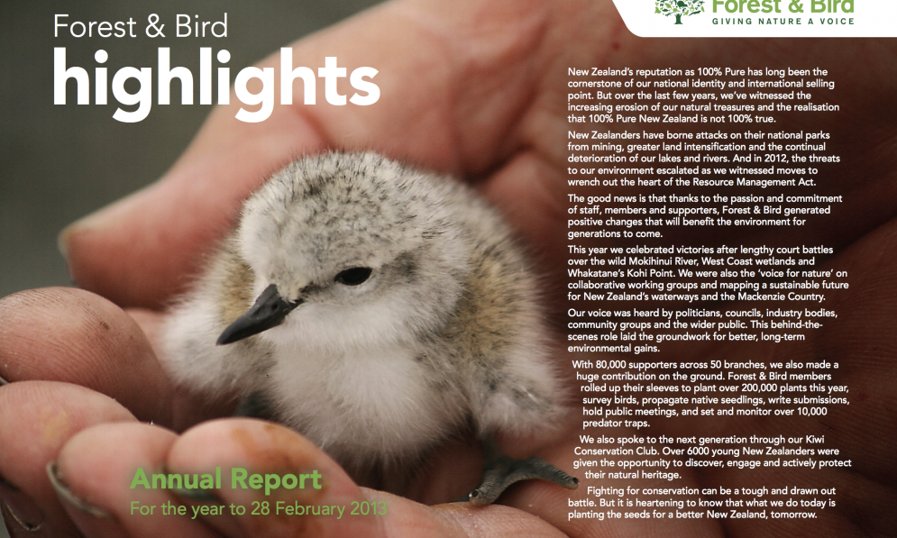 Forest & Bird Annual Report cover showing a wrybill chick
