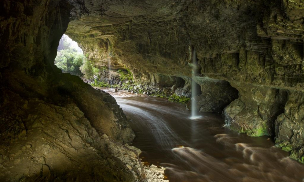 Timelapse of a stream flowing through a cave in the Oparara Basin