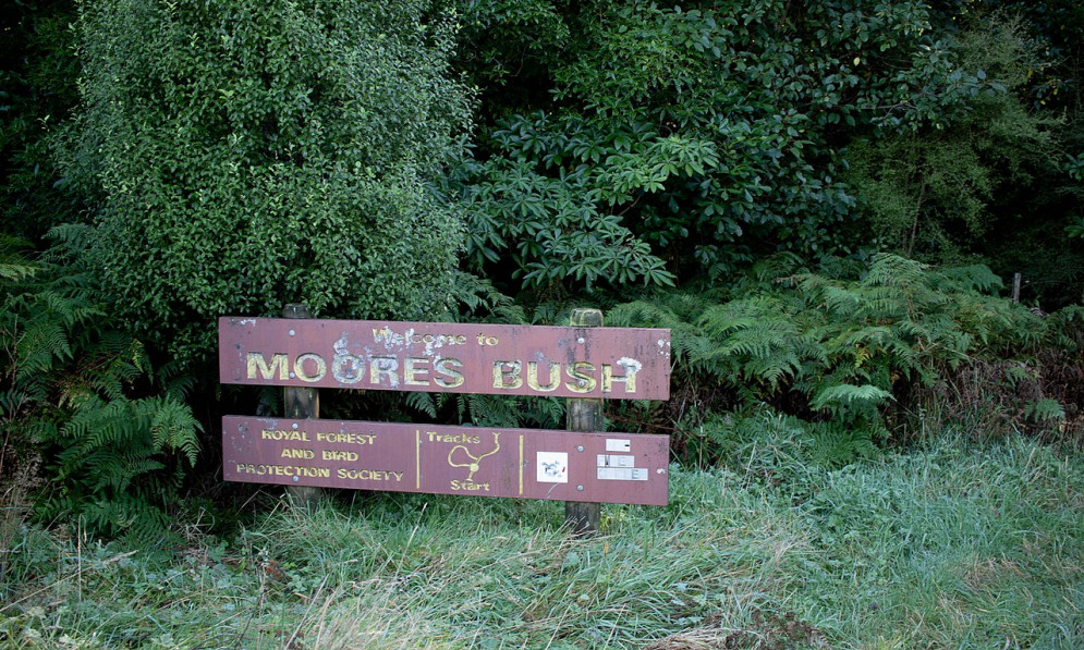 The sign for Moore's Bush in Dunedin