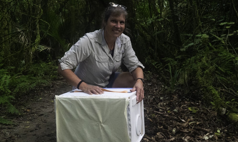 Forest & Bird’s Bushy Park Tarapuruhi Sanctuary Manager Mandy Brooke with translocation box_credit Forest & Bird_DSC08656 Rough Edit JPG