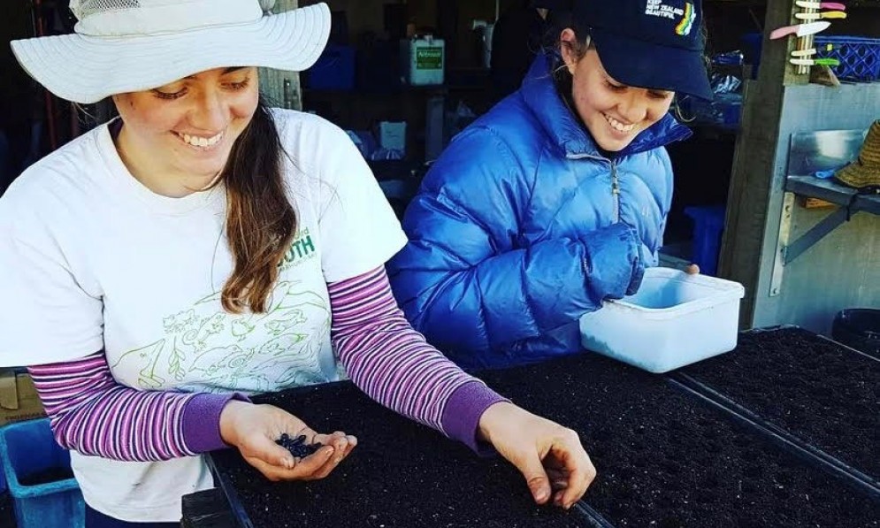 Kaitlyn and Jessica Lamb from the Rotorua Forest & Bird Youth hub, propagating plants