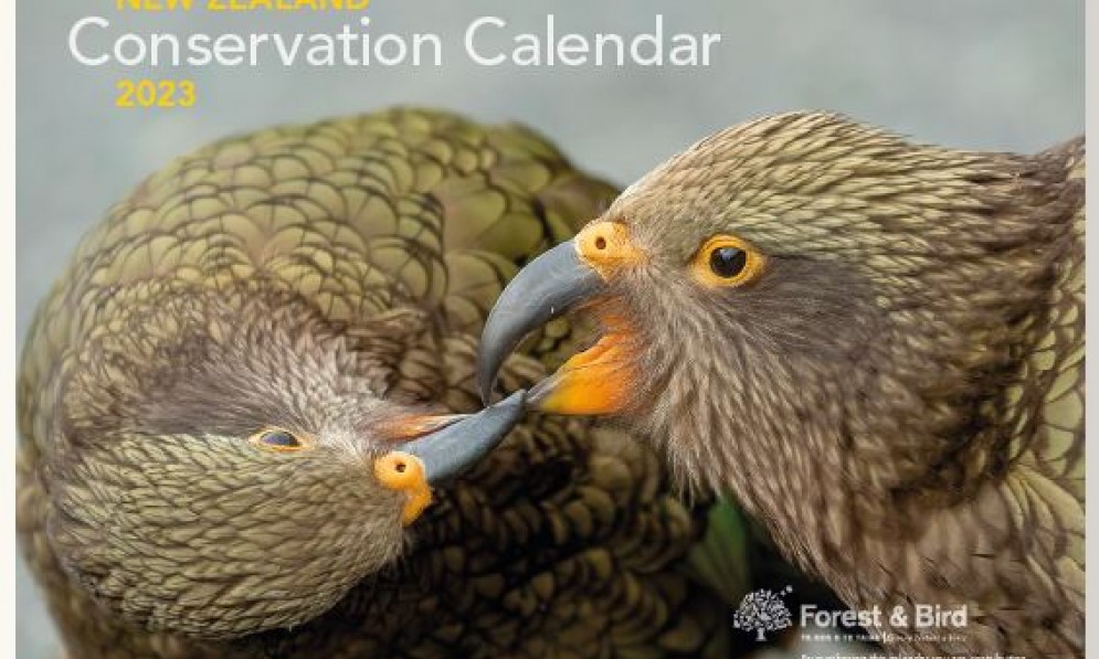 Conservation Calendar 2023