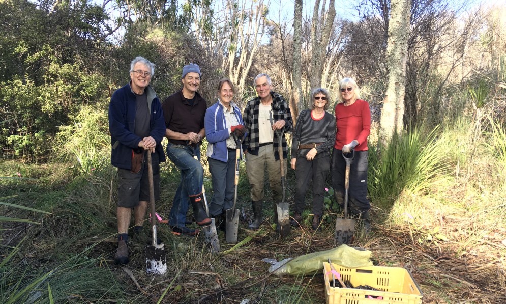 The Oruawharo wetland planting and weeding brigade get to work. From left, Kim Bannister, Raoul Stuart, Jennifer Neads, John Ogden, Frances McClure, and Margaret Jemmett. Image supplied