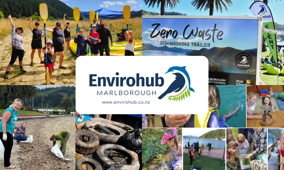 Photos of Envirohub activities