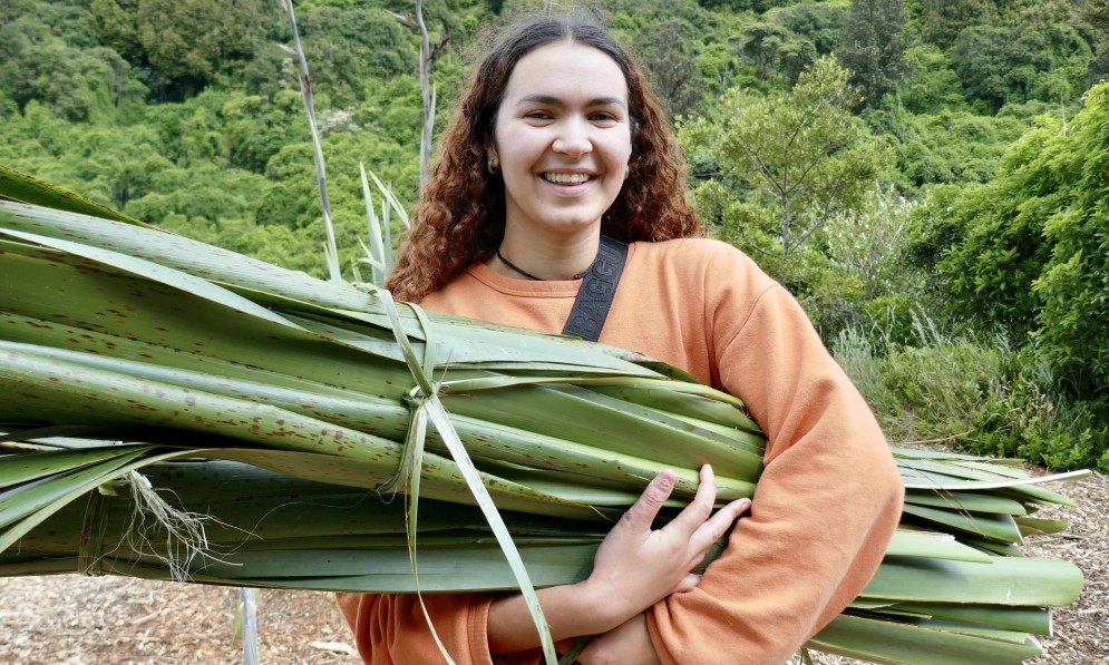Lily Yochay harvesting harakeke. Image supplied