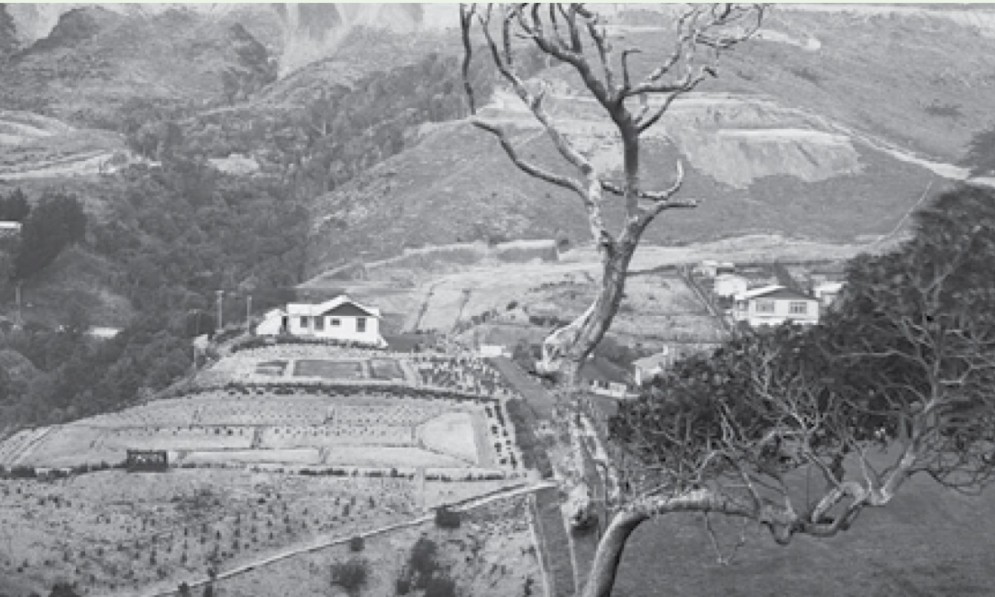 View of Ōtari-Wilton’s Bush 1932. Photographer unknown. Image Alexander Turnbull Library