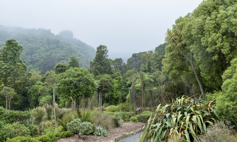 Ōtari-Wilton’s Bush is a six-star garden of international significance. Image Chris Coad