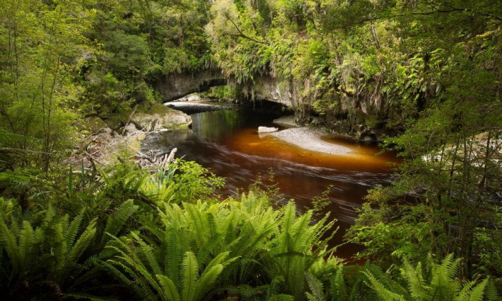 A timelapse of a stream in the Oparara Basin