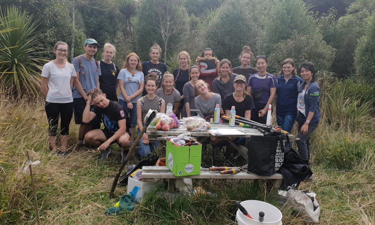 Volunteers at Moore's Bush in Dunedin