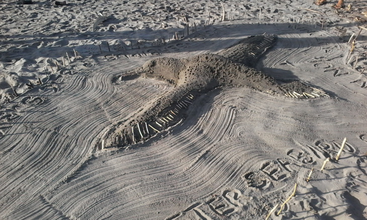 Seabird sandcastle at Carter's beach in Westport