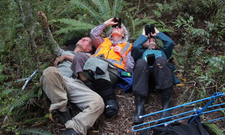 Michael North, Debs Martin and Gillian Dennis lying on the forest floor using binoculars to look up at the trees