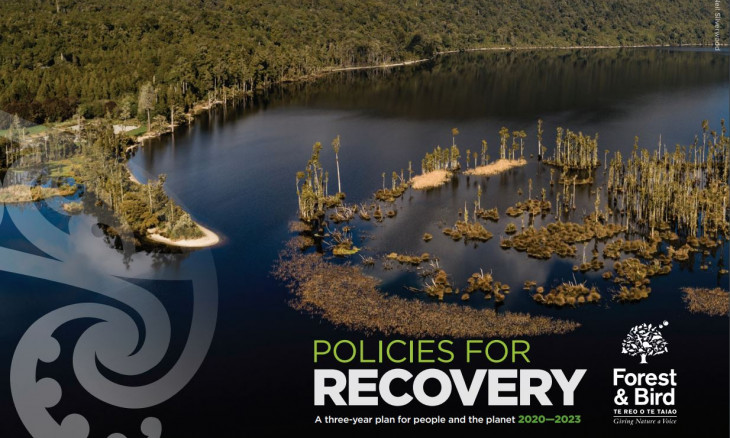 Policies for recovery document cover - Mt Te Kinga Scenic Reserve, Lake Brunner West Coast
