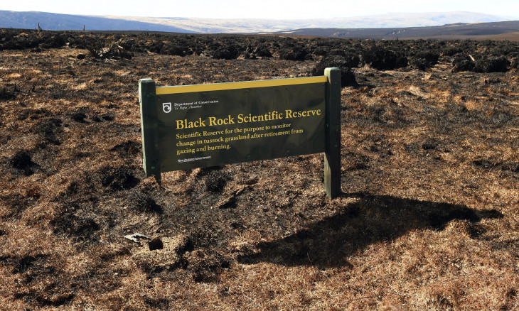 Black Rock Scientific Reserve