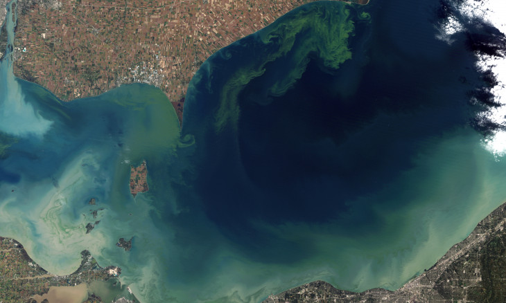 Algal blooms surround Lake Erie (Canada and USA) - image from space