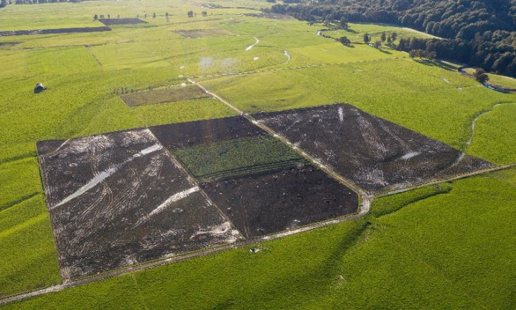 Southland paddocks in mud from intensive winter grazing