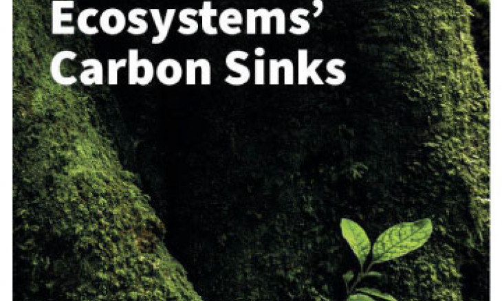 Protecting our natural ecosystems' carbon report coverpage