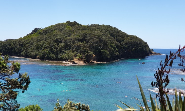 Goat Island marine reserve on a sunny summer day
