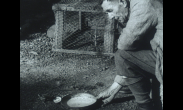 Forest & Bird founder Captain Ernest "Val" Sanderson feeding birds on Kapiti Island. Image (supplied) is a still from the Glimpses of Wildlife conservation movie circa 1930s