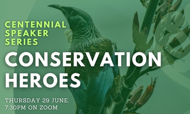 Conservation heroes webinar poster
