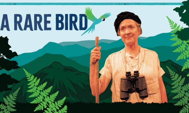 Poster for A Rare Bird