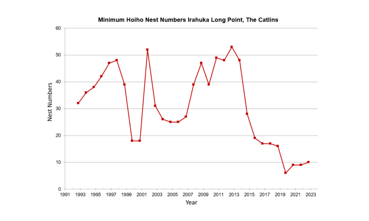 Graph showing minimum hoiho nest numbers Irahuka Long Point, The Catlins