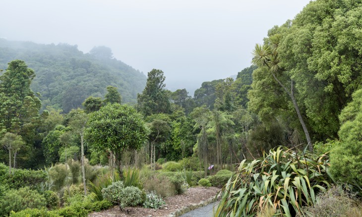 Ōtari-Wilton’s Bush is a six-star garden of international significance. Image Chris Coad
