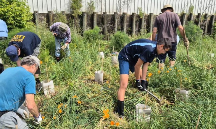 Taylor river planting