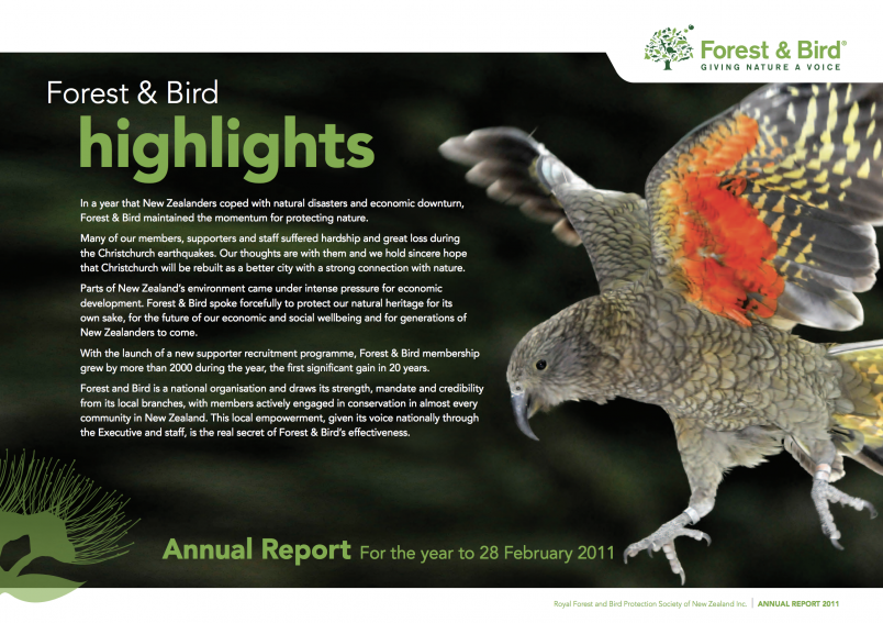 Annual report cover showing a kea in flight