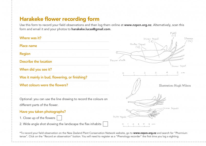 download a harakeke flower recording form