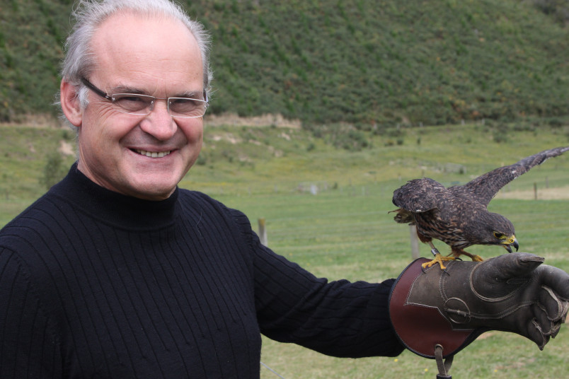 Rob holds a kārearea/New Zealand falcon.