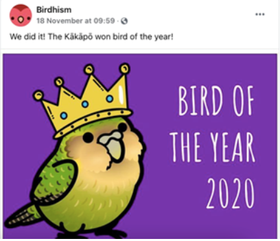Birdhism Facebook page posts about Bird of the Year 2020