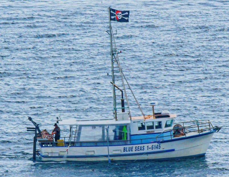 A fishing vessel at sea displaying a pirate flag on its mast