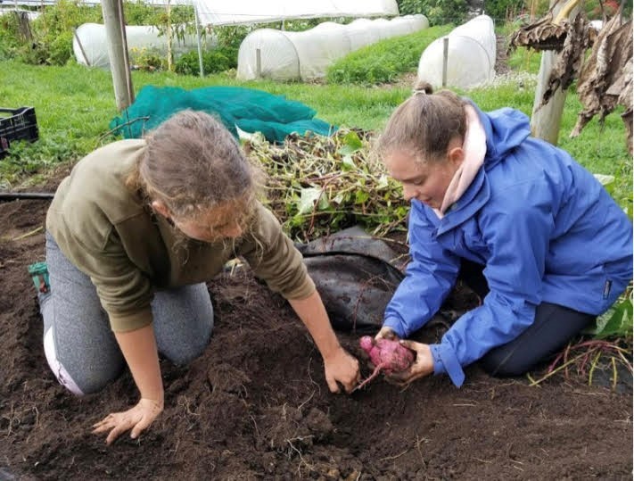 Kaitlyn and Jessica Lamb working in the garden