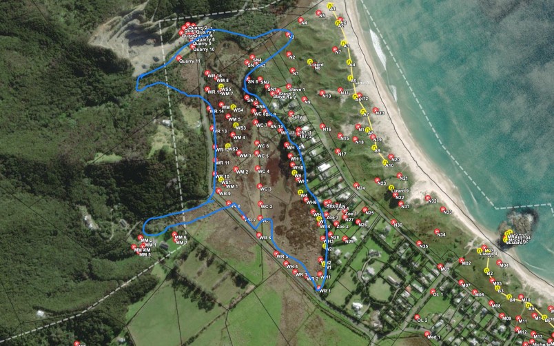 The Oruawharo Medlands Ecovision project area. The blue line shows the wetland boundary. Image supplied