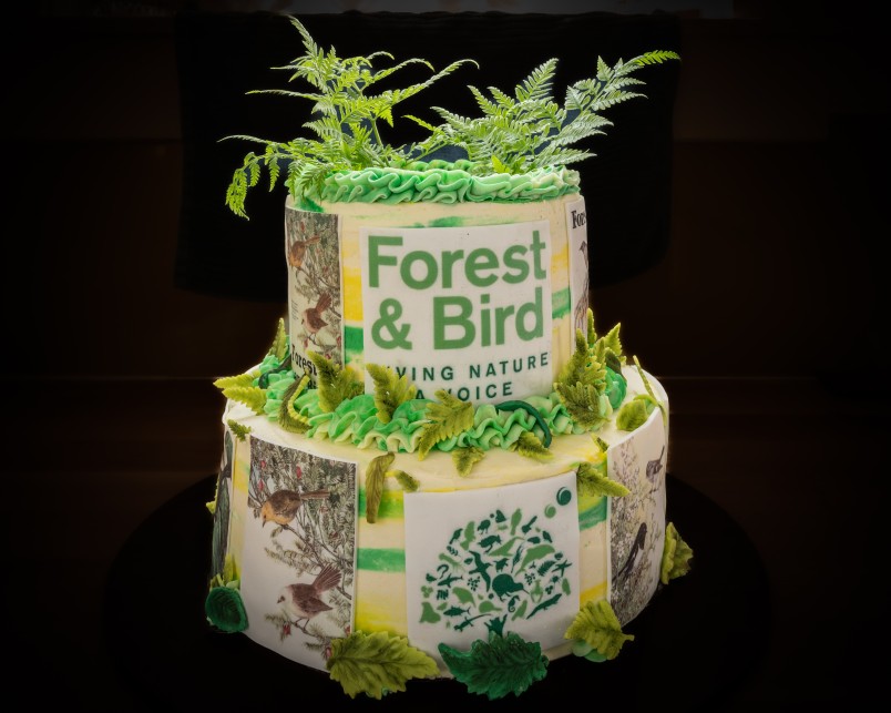 Big Birthday Bash birthday cake. Image Forest & Bird