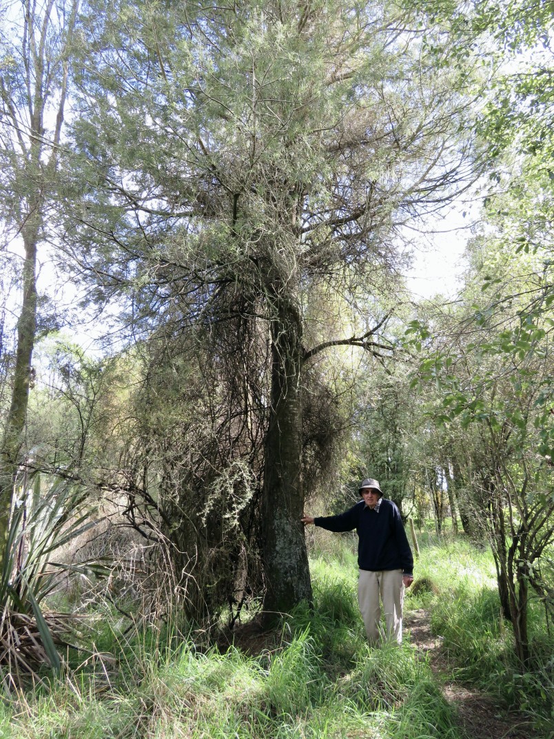 Fraser Ross at Arowhenua Bush in 2015. Image Ines Stäger