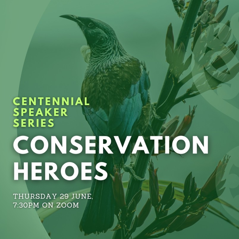 Conservation heroes poster